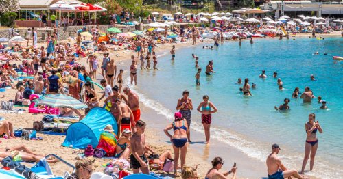 People feel sick after realising where most white sand actually comes from