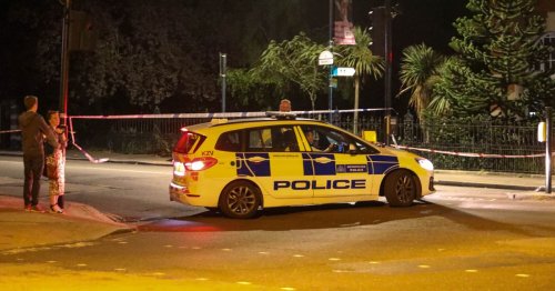 Murder probe launched as woman stabbed to death in home and man is arrested