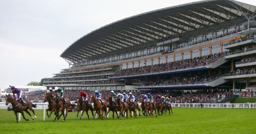 Newsboy's horse racing tips for Wednesday's meetings in the UK and Ireland, including Ascot Nap