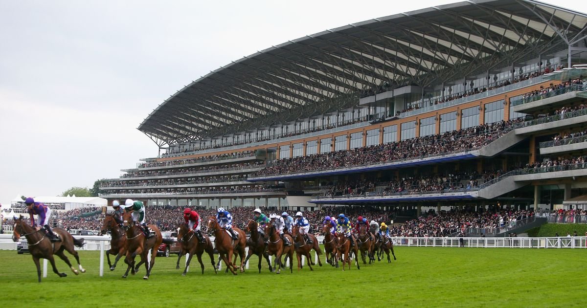 Newsboy's horse racing tips for Wednesday's meetings in the UK and Ireland, including Ascot Nap