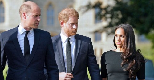 Prince William’s explicit two-word response when Harry said he was dating Meghan Markle