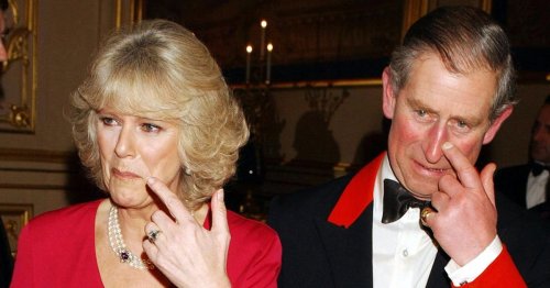 Camilla accused of "mafia thug move" with handwritten note to Princess Diana