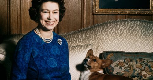Queen's savage response after she heard her relative wanted to 'shoot the corgis'