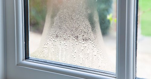 Cleaning expert's £3 window hack can keep mould at bay and make house warmer