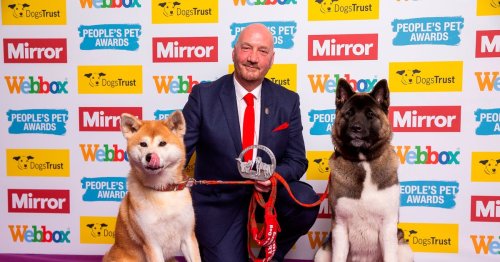 Mirror's Pet Awards will celebrate special bond between animals and their owners