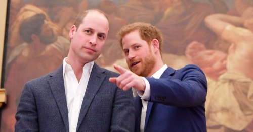 William ‘no longer trusts Harry - only Queen can make him see sense’ experts say