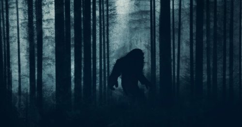 Group of kids come 'eye-to-eye with Bigfoot' after following awful smell in forest