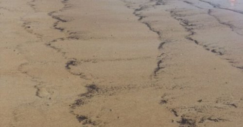 Mystery black substance on beach far more disgusting than locals feared
