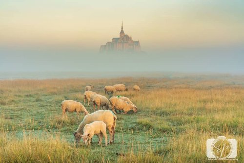 Mont St Michel France – Go Before 10 am or Don’t Go at All!