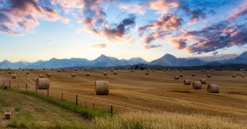 Canada's Left Is Pushing Some Albertans To See the Benefits of Secession