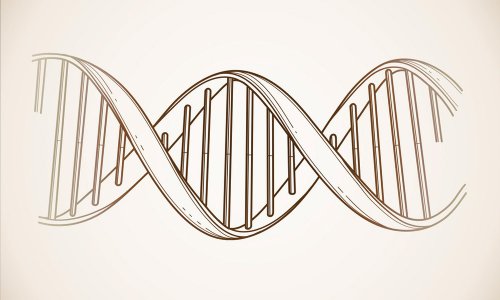 Around the World in 50,000 Years: The Genetics of Race