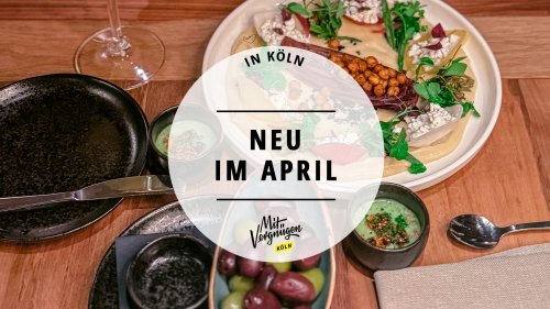 11 tolle Neuentdeckungen, die wir im April 2025 gemacht haben