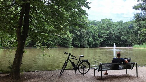 Raus in die Natur: 11 Wälder in und um Köln