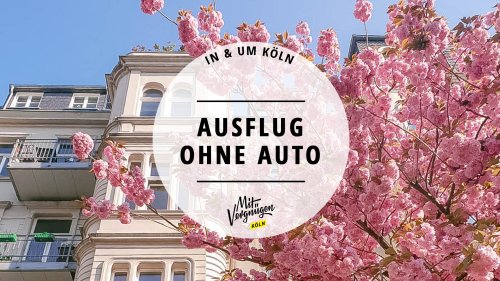 11 Frühlingsausflüge in und um Köln, für die ihr kein Auto braucht