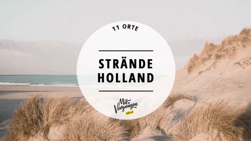 11 schöne Strände in Holland, die immer einen Besuch wert sind