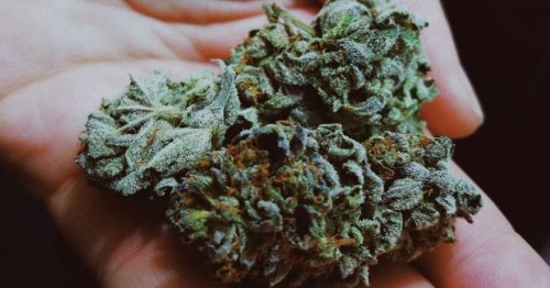 President Biden pardons federal marijuana possession charges for thousands of people