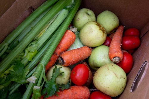 Produce from Michigan farm using untreated human waste declared public health risk