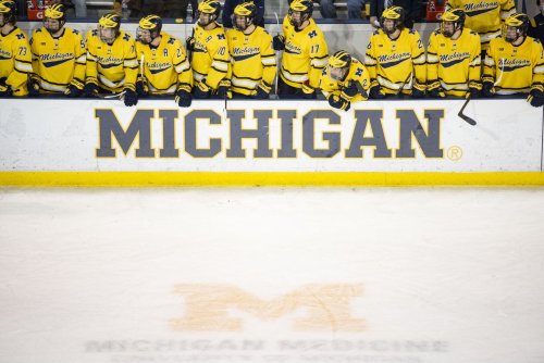 Michigan Hockey Signee Seamus Casey Picked In Second Round Of NHL Draft ...