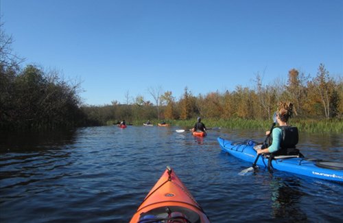 These 2 new Pure Michigan trails take you on forest paths, by beaches and get you on the water