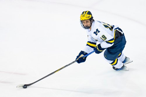 Michigan forward named Big Ten Freshman of the Year
