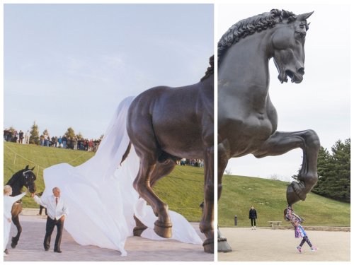 Before and after photos offer glimpse into 30 years of Meijer Gardens