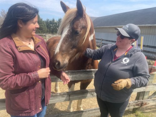 Happy horses, happy people: Farm near Ann Arbor transformed into wellness center