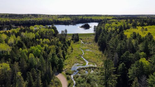 $2.5M dam renovation begins at treasured Northern Michigan fishing hole