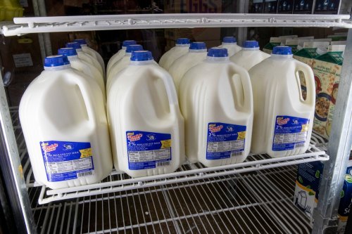 FDA suspends quality tests for milk, other dairy products after Trump budget cuts