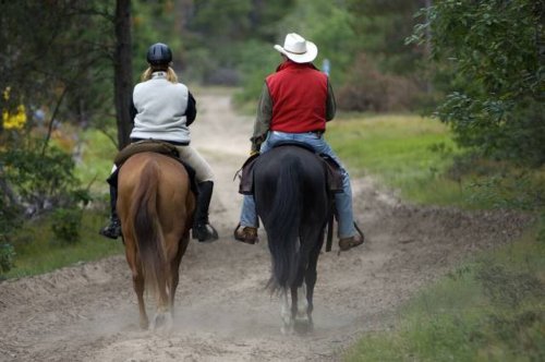 Equestrian campground could open in mid-Michigan by spring