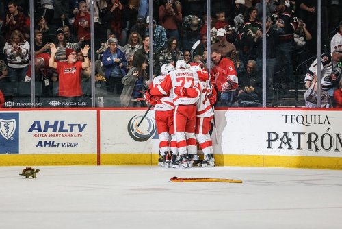 Teddy bears fly, Griffins end up with split in home series against Manitoba