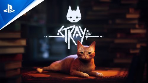 Stray: Die Katze streunt ab 19. Juli auf Playstation 4 und 5