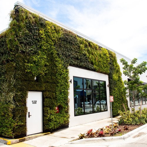 Mobilane LivePanel Outdoor | Nachhaltiges grünes Fassadensystem