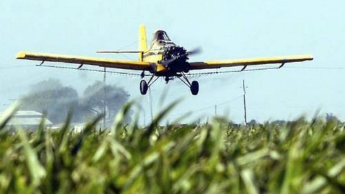 Months after Idaho workers were sickened by pesticides, still more questions than answers