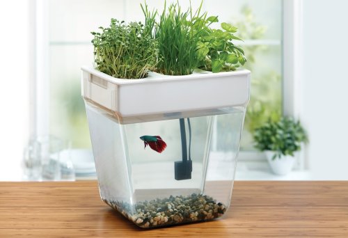 Aquaponics at Home: A Modern Farmer Review of Turnkey Aquaponics Systems for All Levels - Modern Farmer