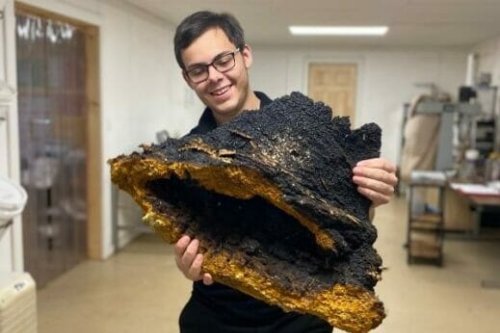 As Chaga Keeps Trending, Mycologists Worry About Running Out