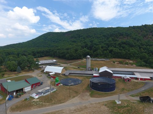 Can Biodigesters Save America’s Small Dairy Farms?