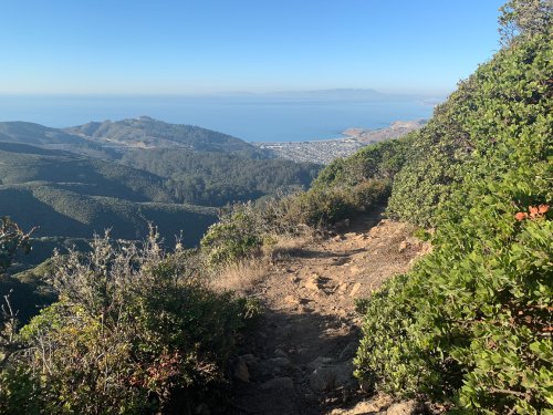 7 Hikes with Breathtaking Views near San Francisco