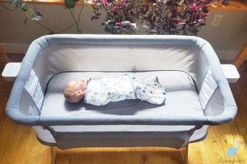 Newton Bassinet Review: Hands-On Testing