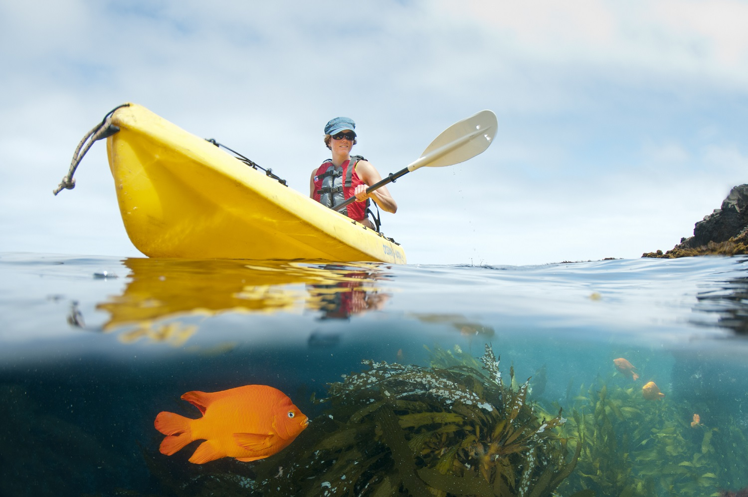 Family Travel Bucket List : Kayaking California's Channel Islands