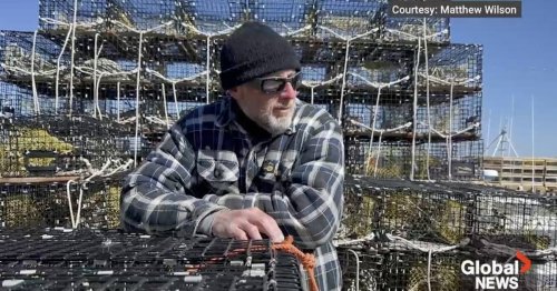 Atlantic Canada's lobster industry faces economic pinch as global turmoil bites