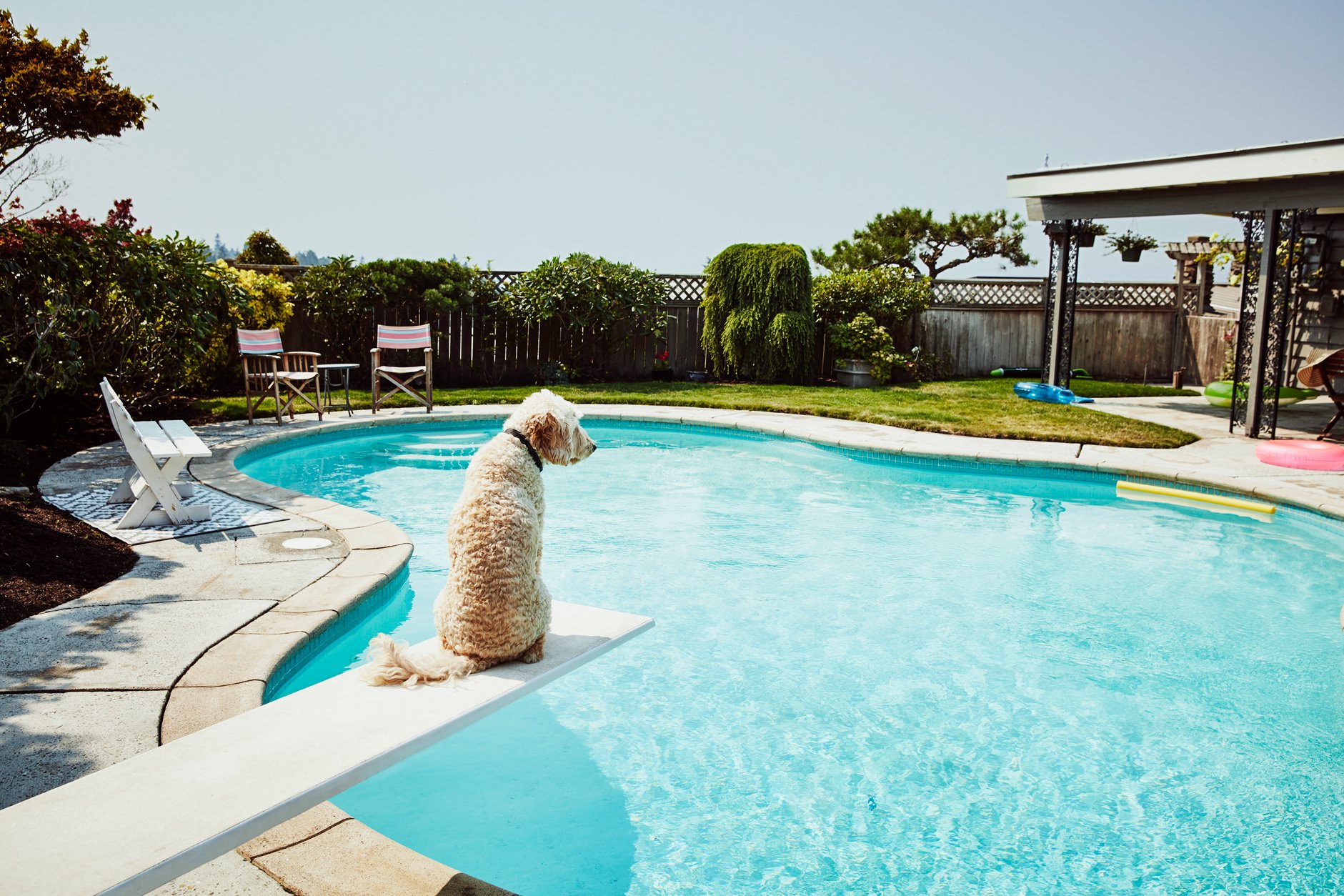 Swimming Pools Are Making a Big Splash on the Housing Market This Summer