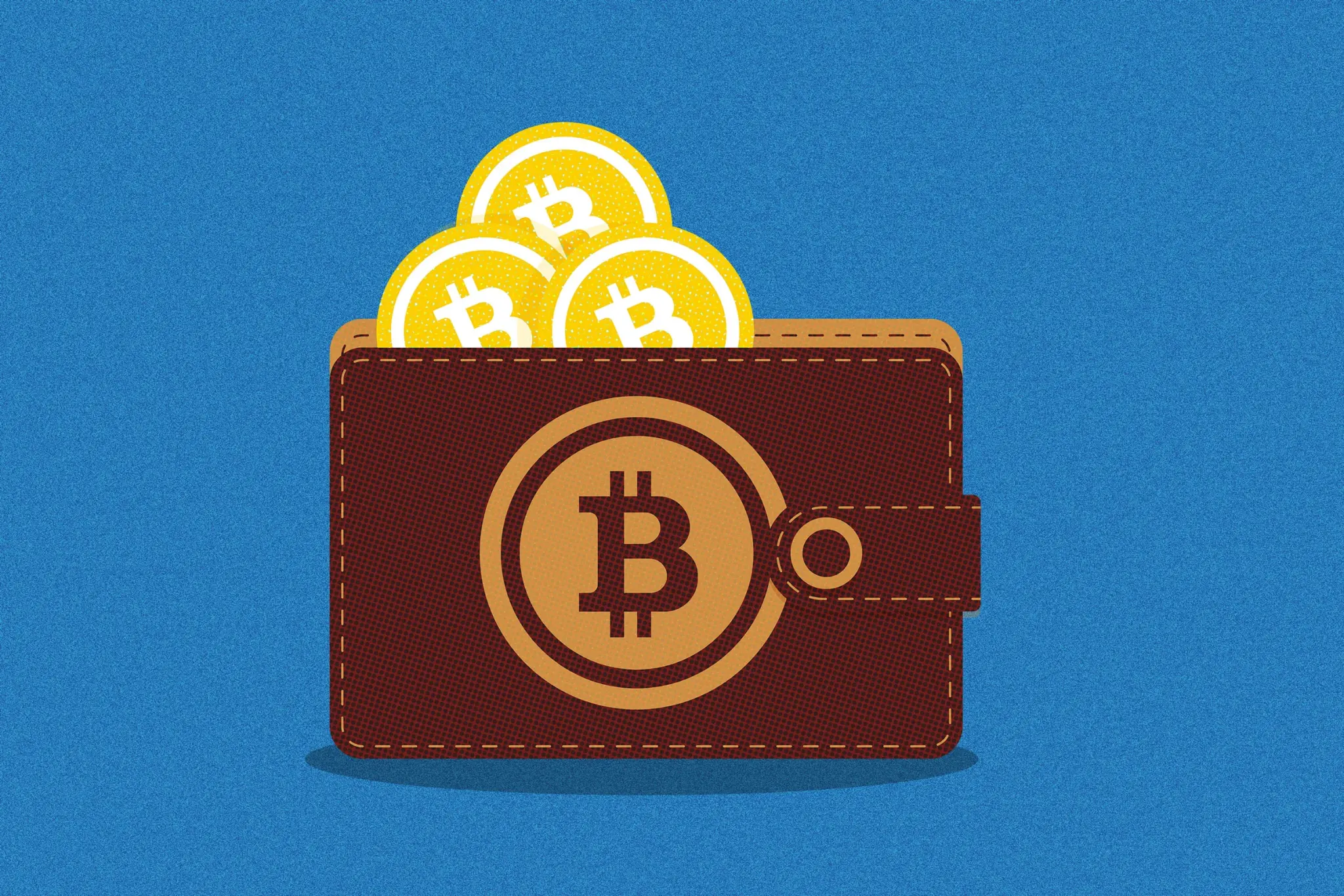 The 5 Best Bitcoin Wallets for 2026