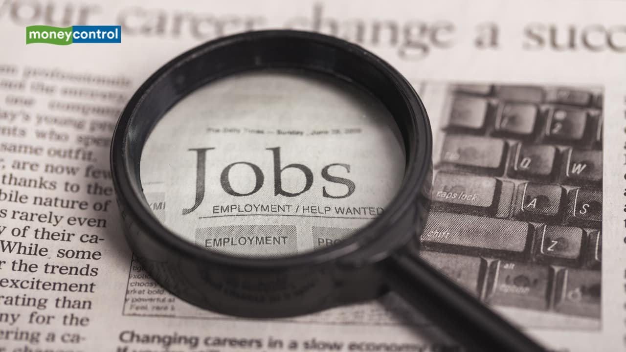 Moneycontrol Pro Panorama | The real job