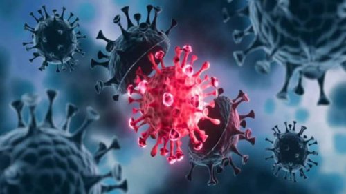 All you need to know about the Omicron XBB. 1.16 variant that is causing a fresh surge in COVID-19 cases in India