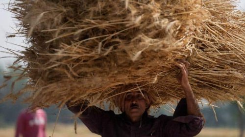 'India not a big wheat exporter, needs to ensure food security'
