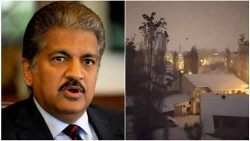 Watch: Chaotic bird behaviour before earthquake in Turkey, Anand Mahindra's reaction