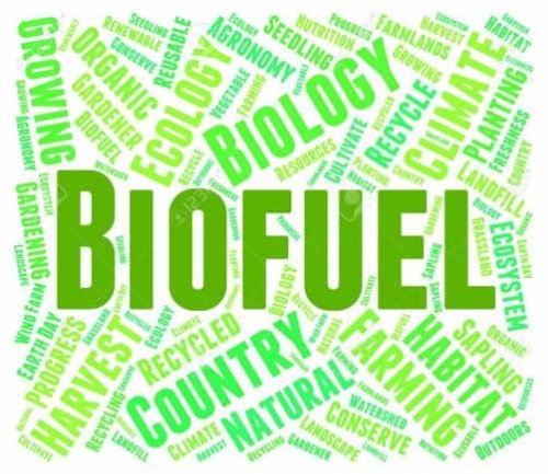 MC Explains: What is the Global Biofuel Alliance launched by India at the G20 Summit?