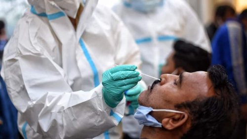 15 Covid cases reported in Gujarat; govt says no need to panic