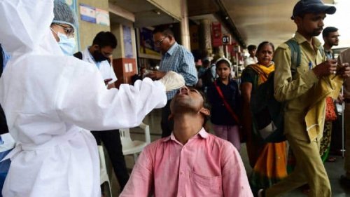 Only 300 of 65,000 COVID-19 patients using Ayurveda needed hospitalisation, says Ayush ministry secretary