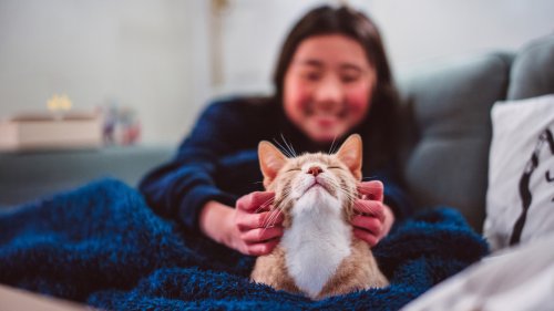 The Tax Deduction You Might Be Eligible For If You Own A Pet